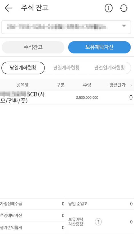 전환사채 25억 투자내역