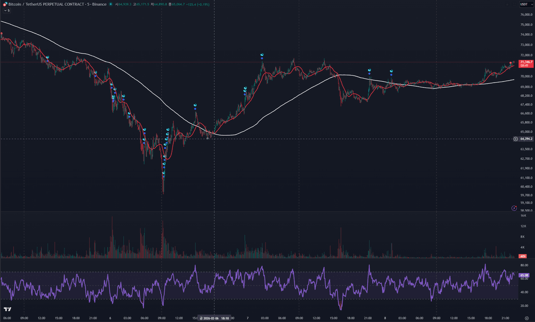 라이언 전략 차트